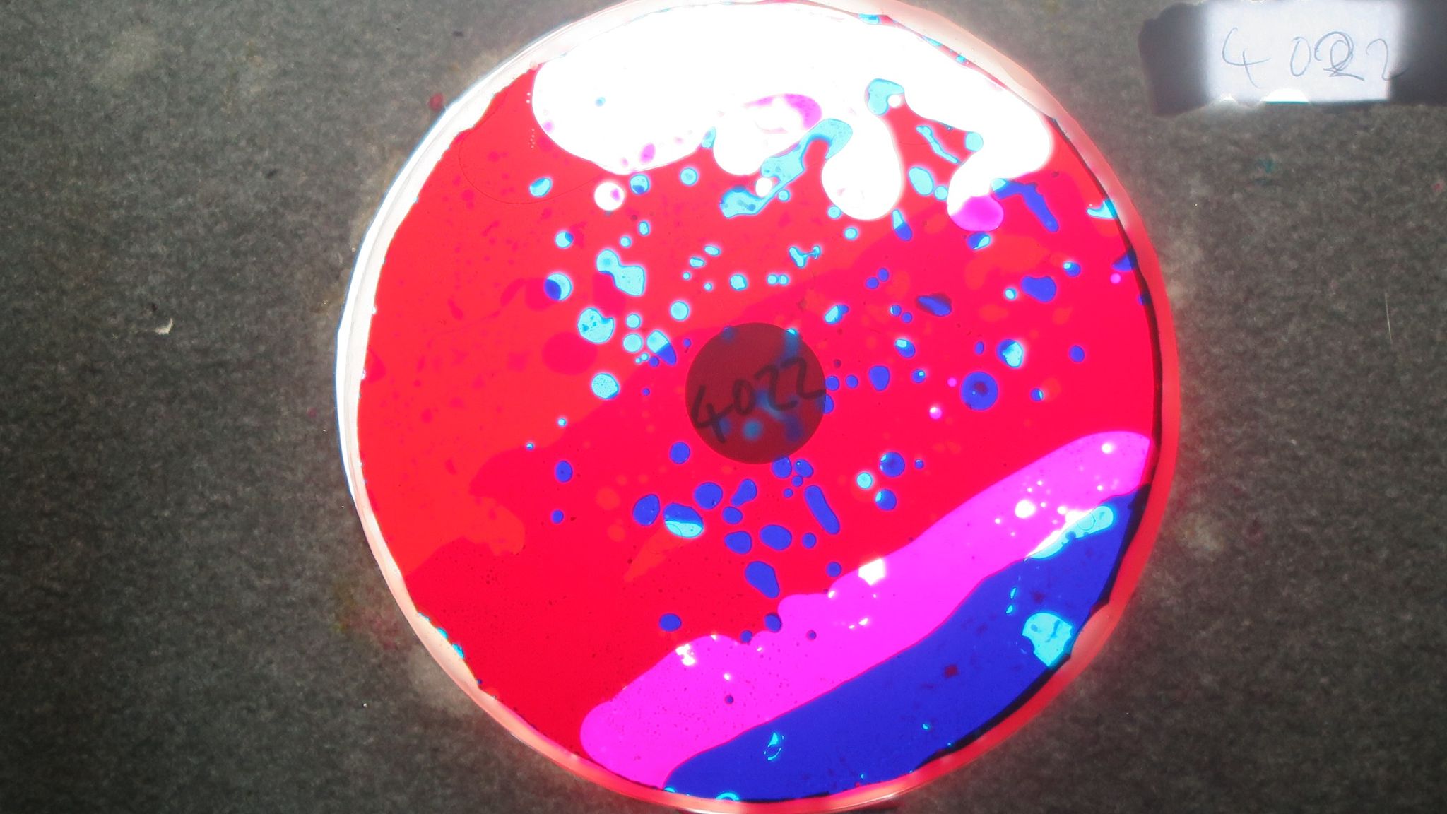 BV4022 bubble vision oil wheel